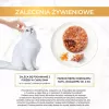 GOURMET GOLD - Sūrus pyragas su vištiena ir morkomis 85g