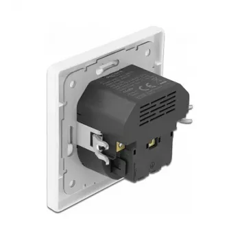 DeLOCK 11489 Kištukinis lizdas CEE 7/3 + USB balta 250V 16A