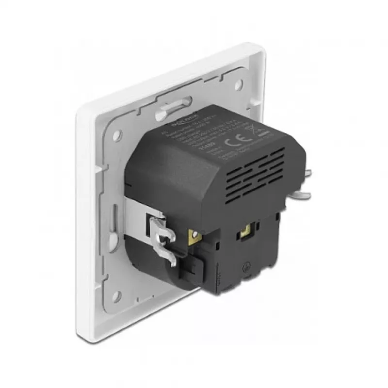 DeLOCK 11489 Kištukinis lizdas CEE 7/3 + USB balta 250V 16A