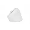 NATEC Crake 2 pelė universali Dešiniajai rankai RF belaidė + Bluetooth optinė 2400 DPI