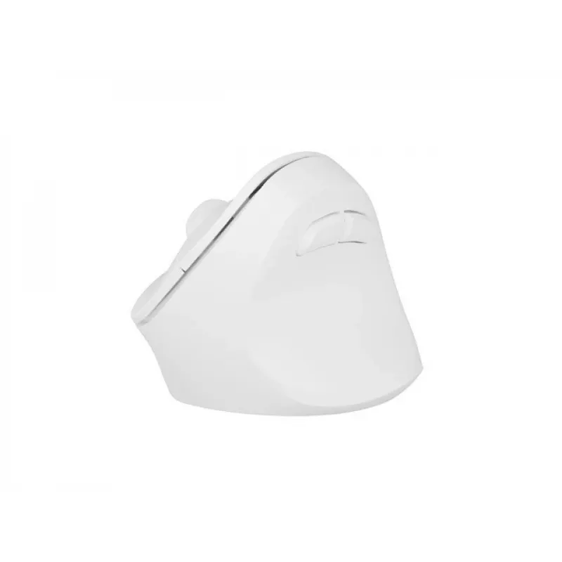 NATEC Crake 2 pelė universali Dešiniajai rankai RF belaidė + Bluetooth optinė 2400 DPI
