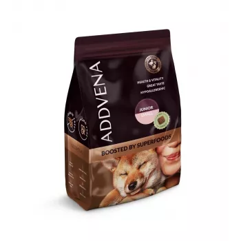 ADDVENA Boosted by superfoods Junior Small Beef - sausas šunų ėdalas - 2,5 kg