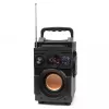 Squeak Bassblaster Bluetooth 5.1 garsiakalbis, FM radijas, MP3 grotuvas SQ1001