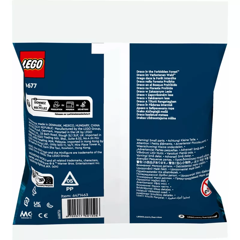 LEGO Harry Potter rinkinys 30677 – Drakas Uždraustajame miške minifigūrėlės scena
