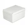 DeLOCK montažinis korpusas IP65 200 x 150 x 100 mm pilkas