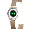 Išmanusis laikrodis MaxCom FW42 GOLD Gold