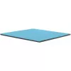 Thermal Grizzly Minus Pad Pro terminė pagalvėlė 100 x 100 x 0.5 mm