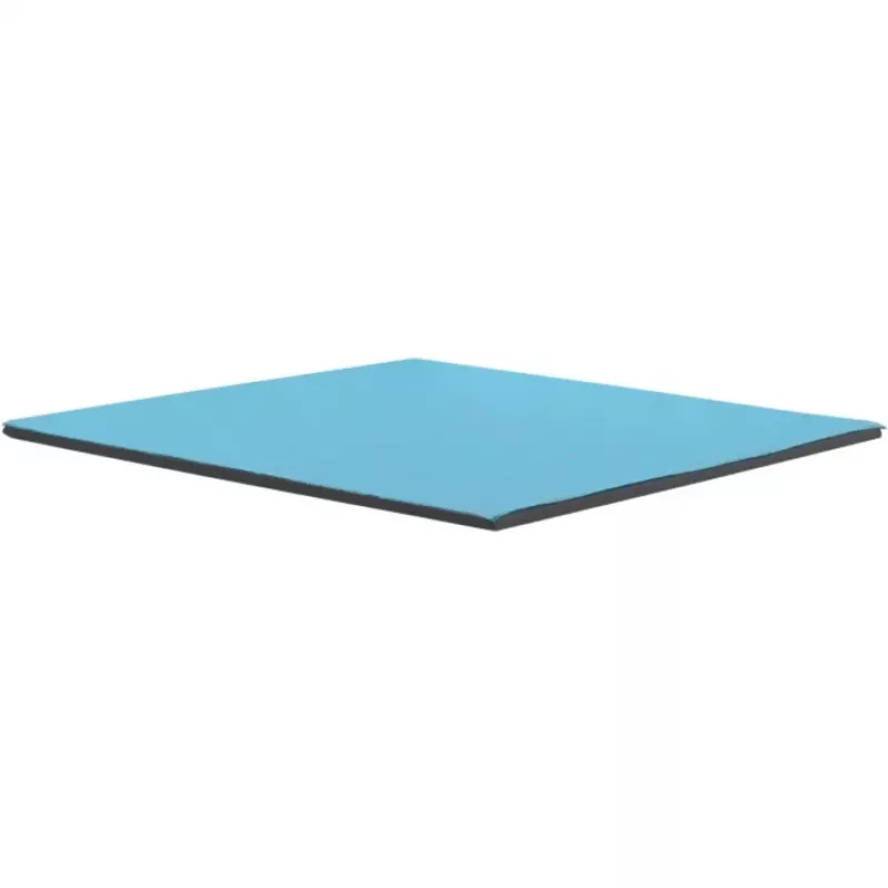 Thermal Grizzly Minus Pad Pro terminė pagalvėlė 100 x 100 x 0.5 mm