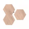 Nanoleaf Elements medžio išvaizdos šešiakampių plėtinio rinkinys 3 vnt.