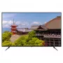 164,0 cm (65 inch) JAPANNEXT JN-IPS650UHD60F 4K IPS monitorius, 3840x2160, 60Hz, HDMI, USB, WLAN, garsiakalbiai, juodas
