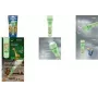 Rankinis žibintuvėlis vaikams Varta Kids Flashlight šviesiai žalias ABS PC 70h veikimo laikas