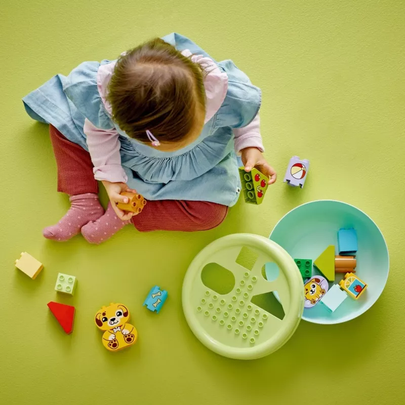 Konstrukcinis žaislas LEGO DUPLO Formų rūšiuotojas Šuniuko namelis 10441, 17 dalių, nuo 1½ iki 5 metų