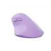 NATEC Crake 2 pelė universali Dešiniajai rankai RF belaidė + Bluetooth optinė 2400 DPI