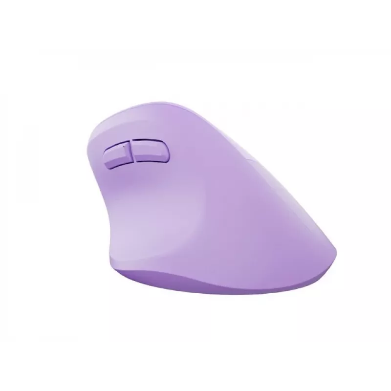 NATEC Crake 2 pelė universali Dešiniajai rankai RF belaidė + Bluetooth optinė 2400 DPI