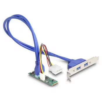 DeLOCK 61065 Vidinė USB 3.2 Gen 1 M.2 adapterio plokštė