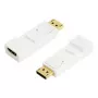 Adapteris DisplayPort į HDMI LogiLink CV0057