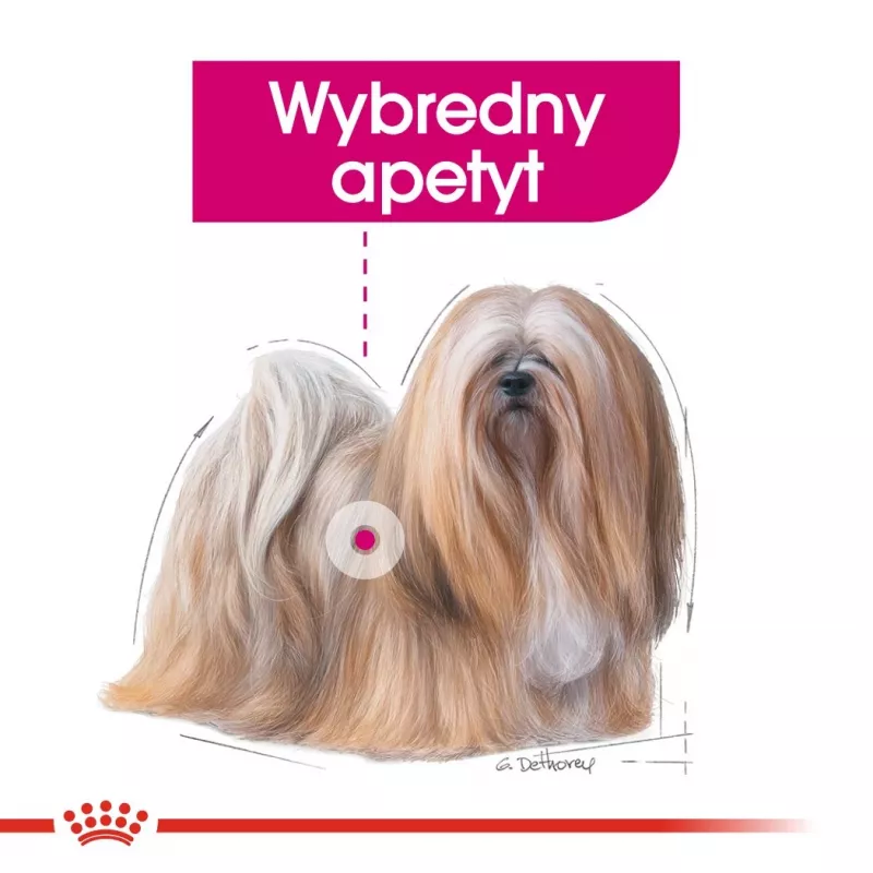 Sausas šunų ėdalas Royal Canin Mini Exigent 1 kg – mažų veislių suaugusiems, 30% baltymų, 22% riebalų