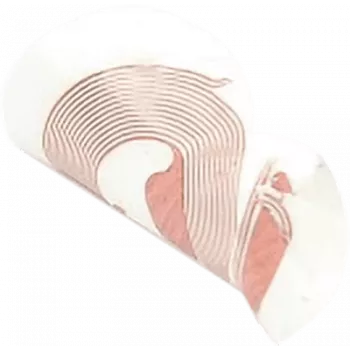 NFC lipdukas SCOT NTAG213 18 mm baltas, RFID žyma, pakuotė po 10 vnt.