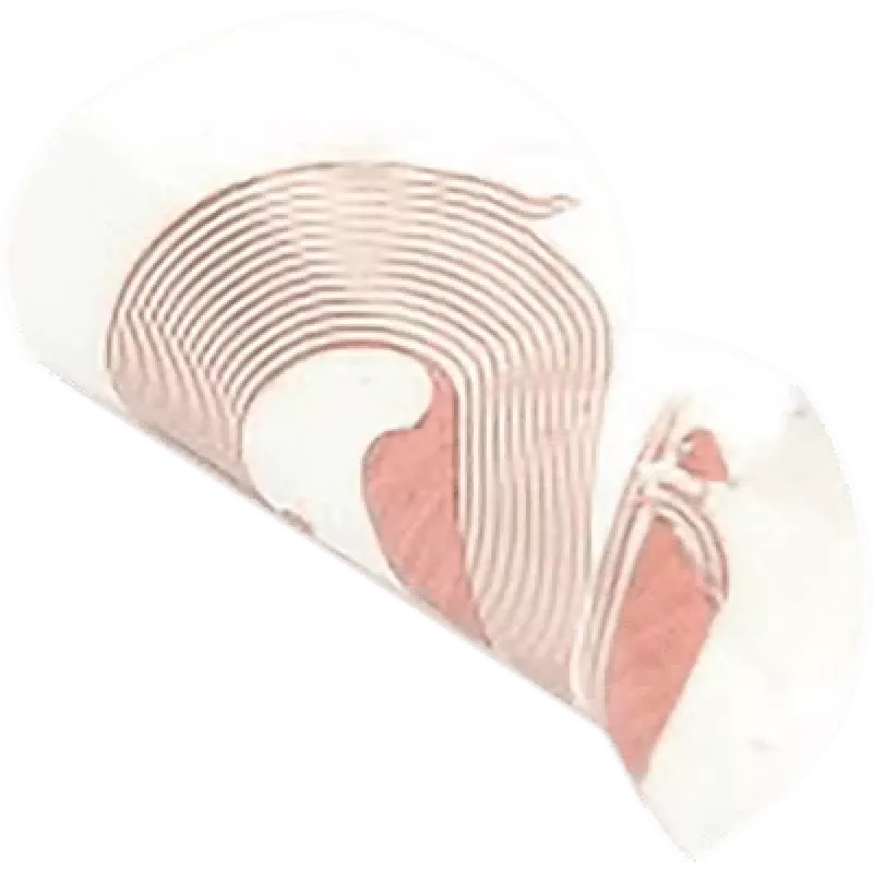 NFC lipdukas SCOT NTAG213 18 mm baltas, RFID žyma, pakuotė po 10 vnt.
