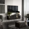 TV spintelė Cama Meble MOUNTAIN 154x40x55 cm, medžio drožlių plokštės viršus, juoda ir auksinė
