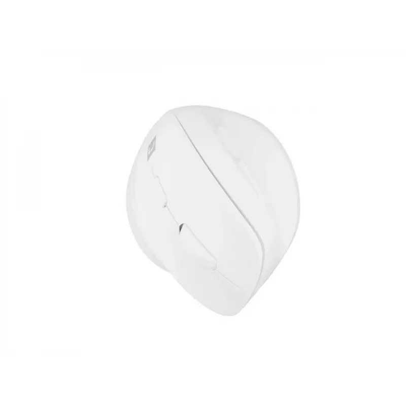 NATEC Crake 2 pelė universali Dešiniajai rankai RF belaidė + Bluetooth optinė 2400 DPI