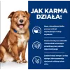 HILL'S Prescription Diet Derm Complete - sausas šunų ėdalas - 1,5 kg