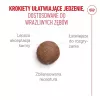 ROYAL CANIN Ageing 15+ sausas kačių pašaras 4 kg