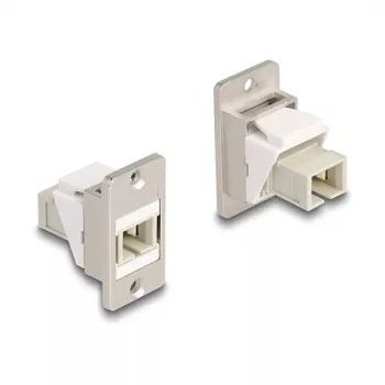 DeLOCK Panel Mount Keystone modulis optiniam pluoštui SC Simplex moteriška–moteriška kūginė smėlio spalvos