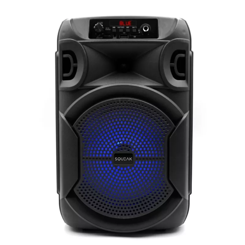 BELAIDIS KOLONĖLĖ SQUEAK PULSETOWER SQ1006, BLUETOOTH 5.3, 30W, JUODA
