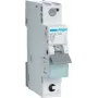 Hager MCS116 – modulinis jungiklis 16 A, 1 modulis (17,5 mm)