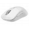 MSI Versa 300 Wireless pelė, dešinei rankai, RF Wireless + Bluetooth + USB Type-C, optinė, 8000 DPI