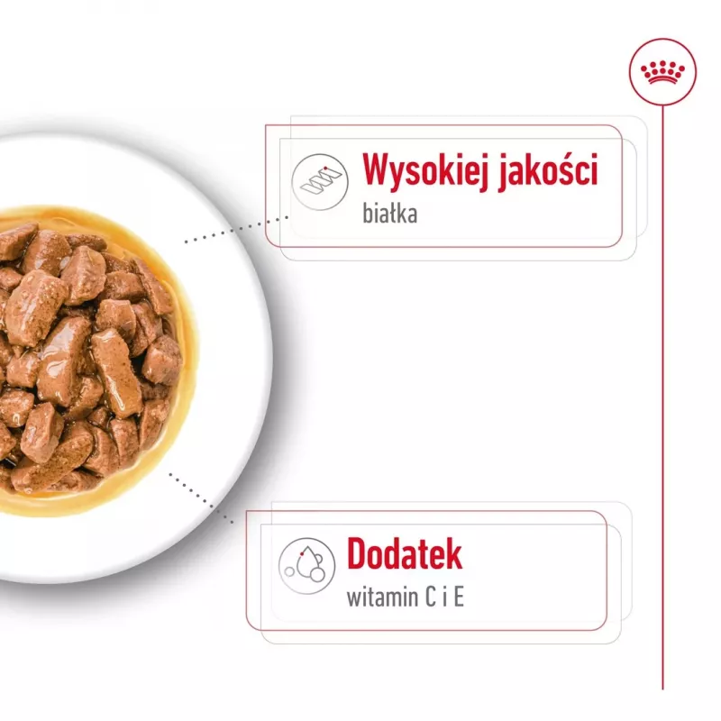ROYAL CANIN SHN Medium Adult padaže – šlapias pašaras suaugusiems šunims – 10x140 g