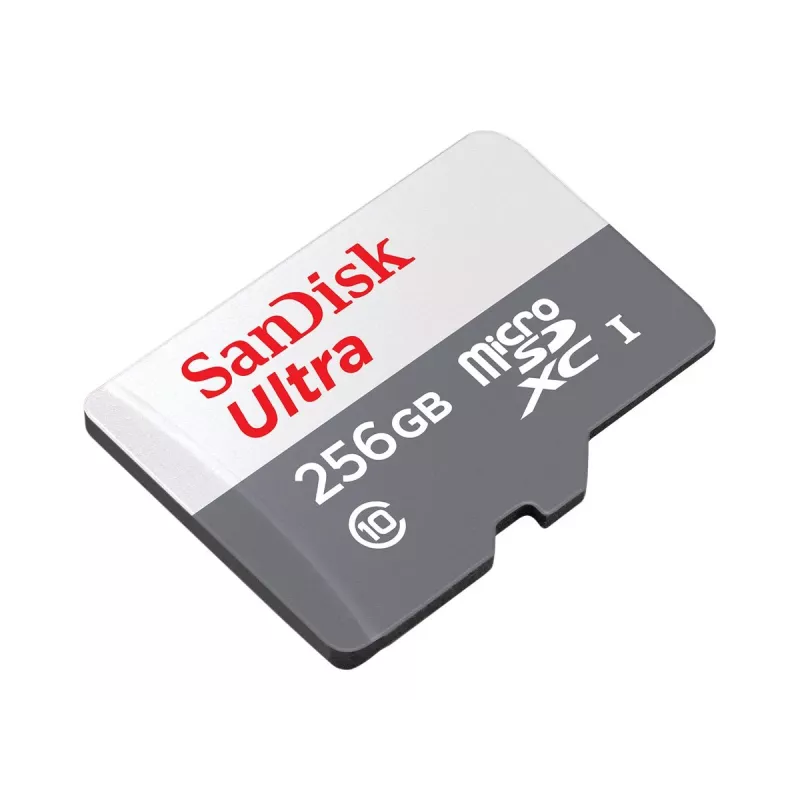 „SanDisk“ 256 GB „MicroSDXC“ UHS-I „Ultra“ atminties kortelė SDSQUNR-256G-GN6TA