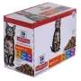 HILL'S Feline Adult Multipack Classic - maišelis 12x85g