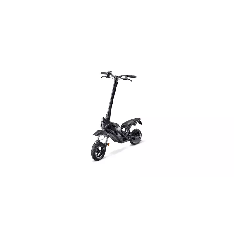 Acer Predator Extreme PES017, 35 km, ličio jonų (Li-Ion), 48 V, 10,5 Ah, 4 h, LCD