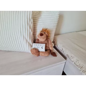 Anglies monoksido ir anglies dioksido detektorius K10LLCO Kidde
