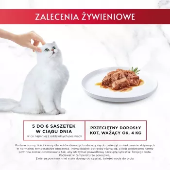 GOURMET Mon Petit Fish Mix šlapias ėdalas katėms 6 x 50 g