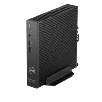 Plonieji klientai (Thin Client)