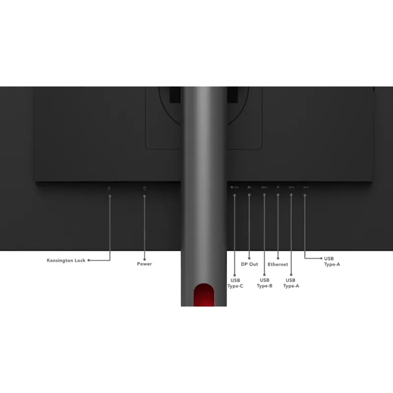 Lenovo ThinkVision P27h-30 27 colių QHD IPS monitorius