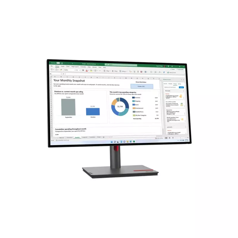 Lenovo ThinkVision P27h-30 27 colių QHD IPS monitorius