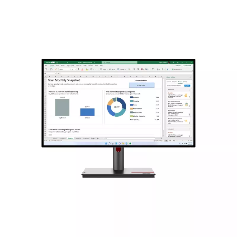 Lenovo ThinkVision P27h-30 27 colių QHD IPS monitorius