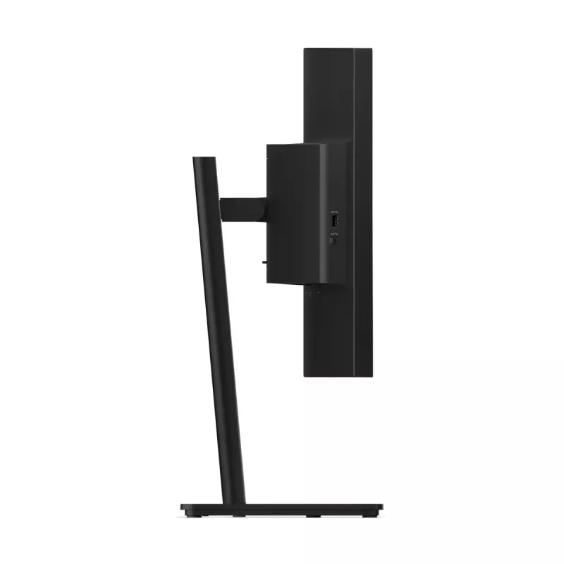 Monitorius Lenovo ThinkVision T34WD-40 34 colių WQHD LED 3440 x 1440