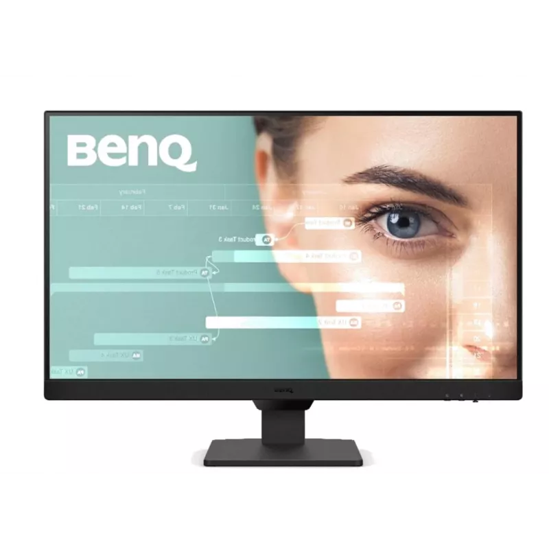 Monitorius BenQ GW2490 60.5 cm (23.8 inch) Full HD 1920x1080 juodas