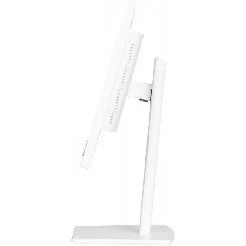 IIYAMA ProLite XUB2497HSN-W2 23,8 colių Full HD IPS LED monitorius su USB-C dokstote, baltas
