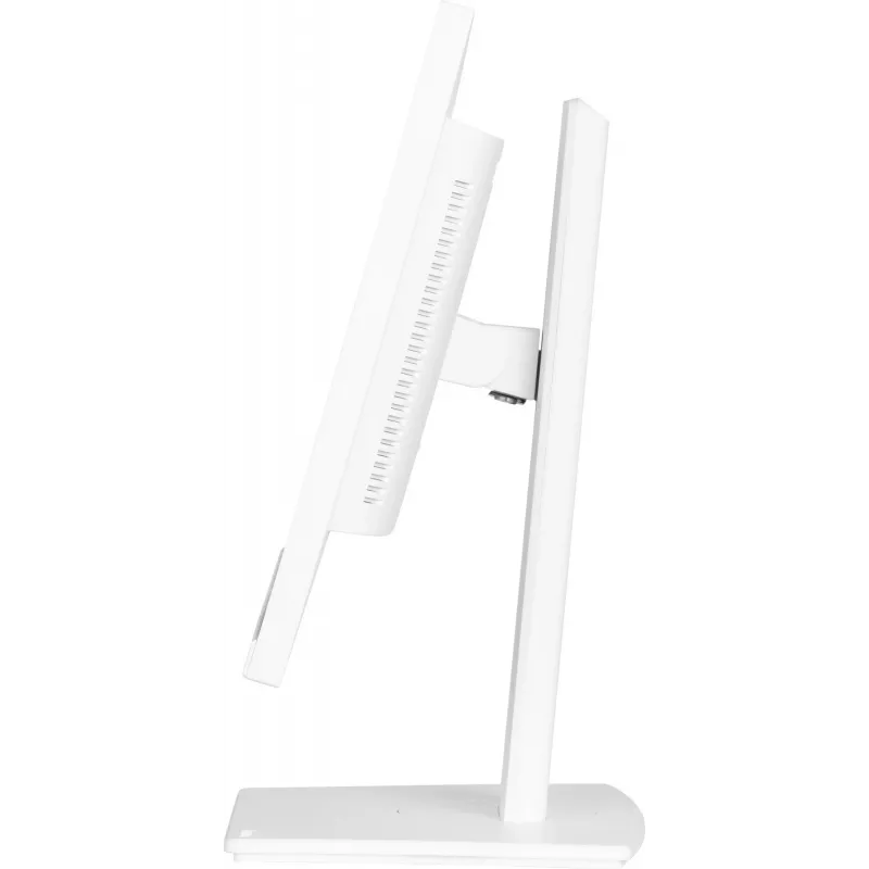 IIYAMA ProLite XUB2497HSN-W2 23,8 colių Full HD IPS LED monitorius su USB-C dokstote, baltas