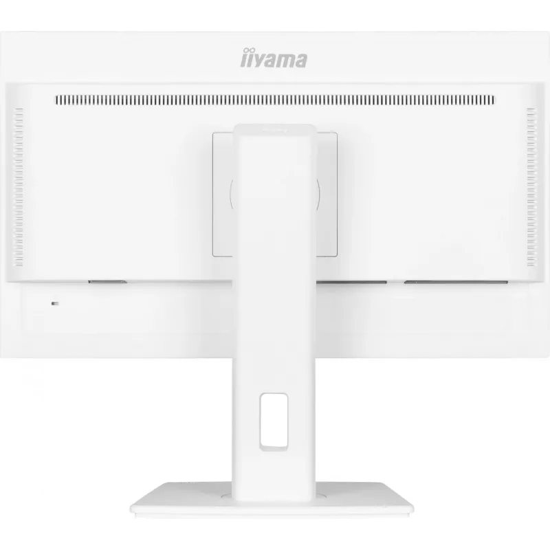IIYAMA ProLite XUB2497HSN-W2 23,8 colių Full HD IPS LED monitorius su USB-C dokstote, baltas