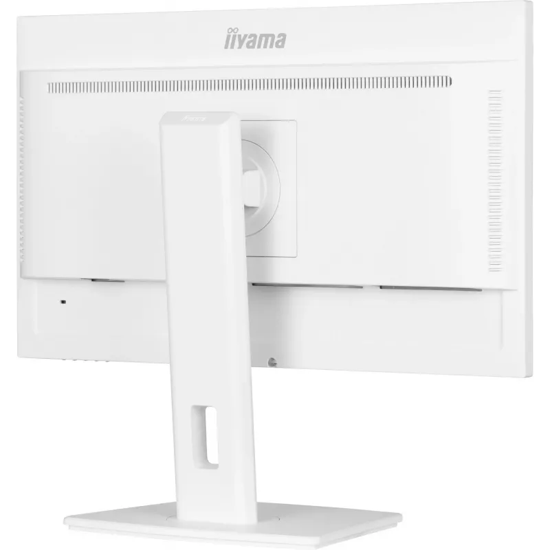 IIYAMA ProLite XUB2497HSN-W2 23,8 colių Full HD IPS LED monitorius su USB-C dokstote, baltas