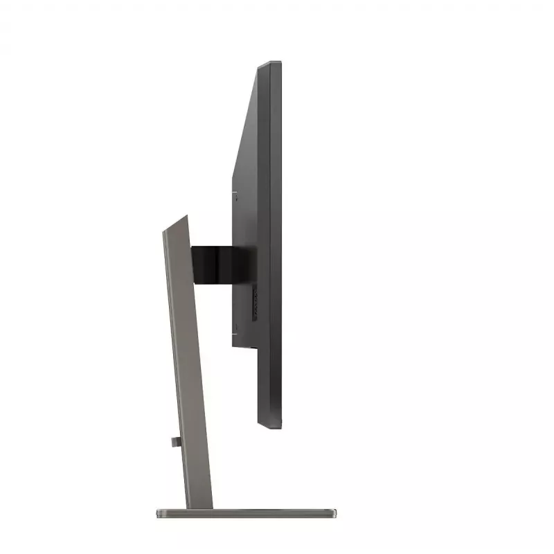Philips P Line 439P1/00 monitorius 108 cm (42,5 colio) 3840 x 2160 pikselių 4K Ultra HD LCD juodas