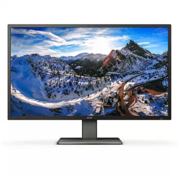 Philips P Line 439P1/00 monitorius 108 cm (42,5 colio) 3840 x 2160 pikselių 4K Ultra HD LCD juodas