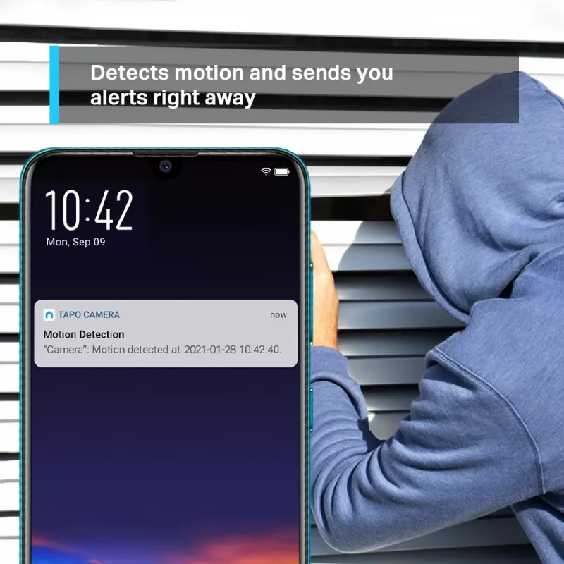 IP apsaugos kamera TP-Link Tapo TAPOC210 belaidė vidaus kupolinė